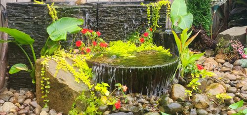 Water Features and Koi Fish for Freeland's Water Gardens in Clarksburg, WV