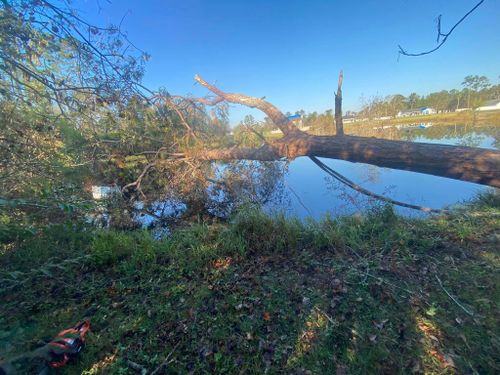  for H&H Land Clearing in Norman Park, GA