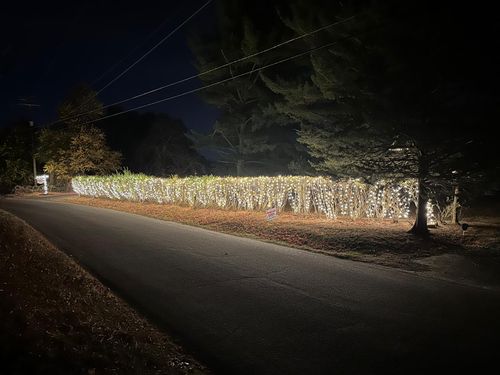 All Photos for Unique Outdoor Lighting in Short Hills, NJ