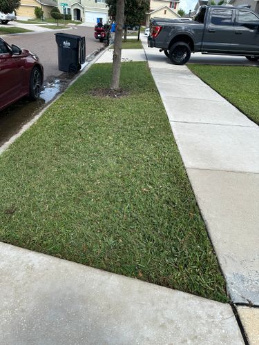 Lawn Maintenance for The Yardman in Tampa, FL