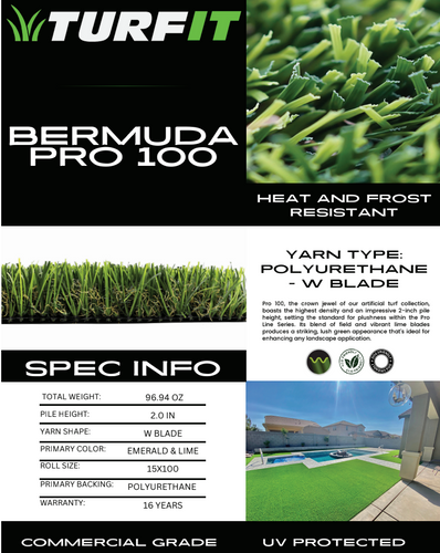 Turf and Artificial Grass for Citiscapes, LLC in Phoenix, AZ