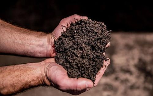  for Hendricks Mowing in Amherst, OH