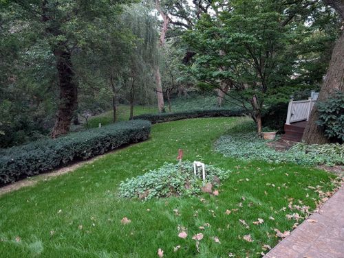 Seasonal Cleanups for Gavin's Lawn Maintenance in Derby, KS