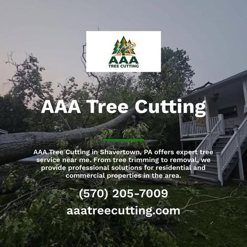 All Photos for AAA Tree Cutting in Shavertown, PA