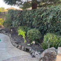 Mulch Installation for Folsom Lake Landscaping in El Dorado Hills, CA