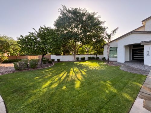 Mowing for Revolution Landscape Construction in Mesa, AZ