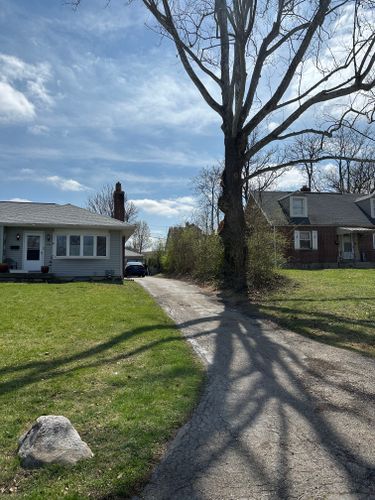 All Photos for Pro Tree Trim & Removal, Llc in Dayton, OH