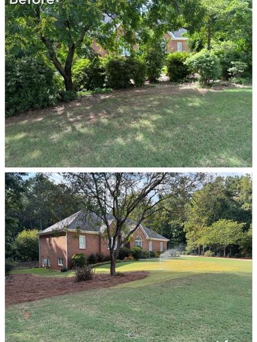 Brush Cutting and Removal for Fayette Property Solutions in Fayetteville, GA