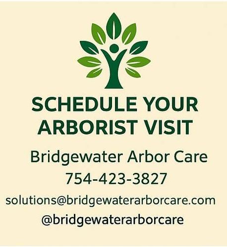 All Photos for Bridgewater Arbor Care LLC in Jupiter, FL