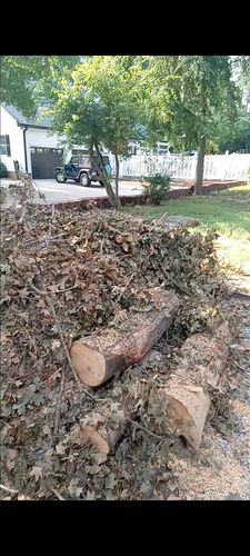  for Brothers On Point Lawn And Junk Removal in Wilson, NC