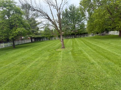  for Bearforce Lawn Care LLC in Greenfield, IN
