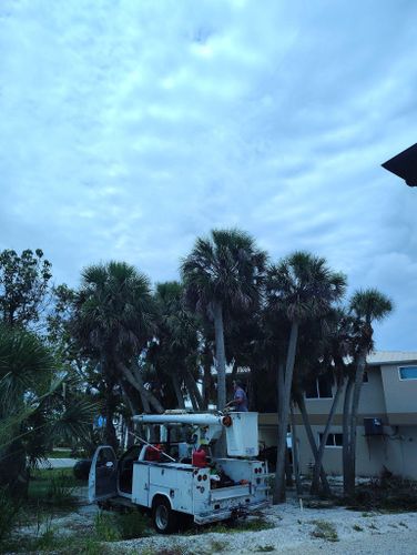  for Nick of Time Tree Service in North Port, FL