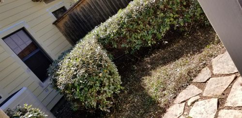 Landscaping Renovations for Elite Horizons in Abilene, TX