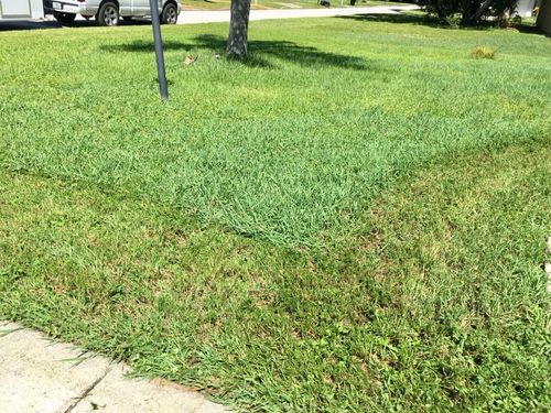 Mowing for Curb Appeal Lawn Care LLC. in Gulfport, FL