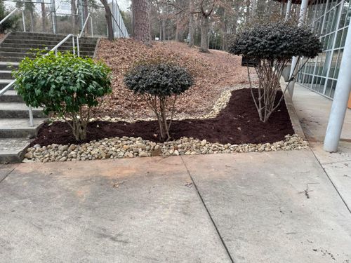  for Shang's Landscaping Service in Columbia, South Carolina