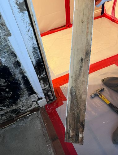 Mold Remediation for ACM Environmental in Salt Lake City, UT