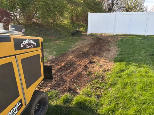 Stump Removal for Conrad's Stump Removal in Columbus, IN