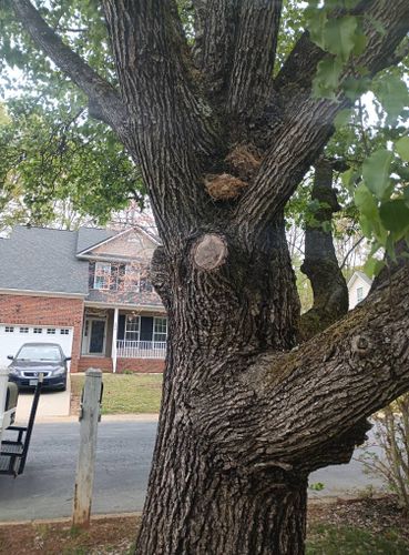  for Lindsey's Lawn Care in Inman, SC