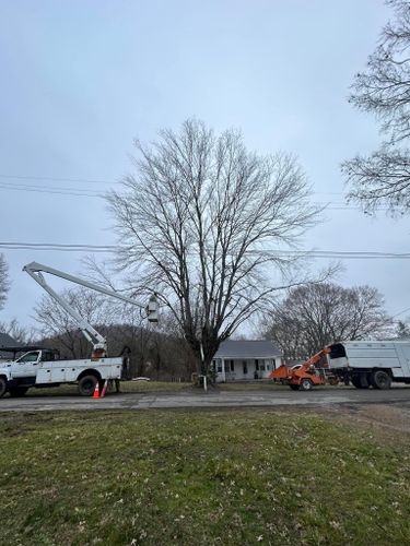 Fall and Spring Clean Up for Atwood’s Tree Care in Liberty,  KY