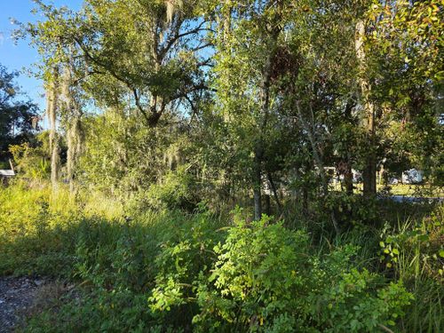 for Bay Area Bobcat in Riverview, FL