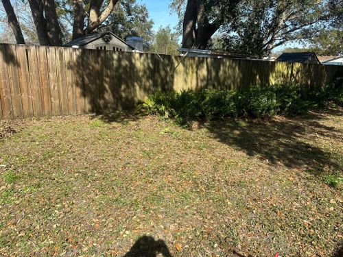 Landscape Design for The Yardman in Tampa, FL