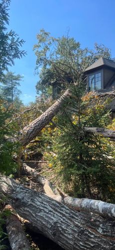 Tree Removal for Andy's Tree Service in Zirconia, NC