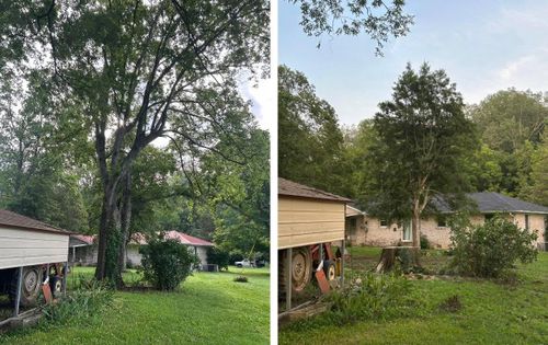  for McBee’s Tree Service in Sewanee, TN