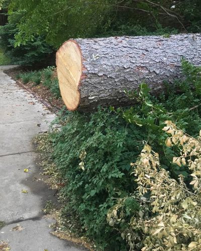  for Oakwood Tree Removal LLC in Oak Creek,  WI