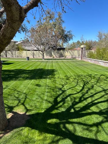 Mowing for Revolution Landscape Construction in Mesa, AZ