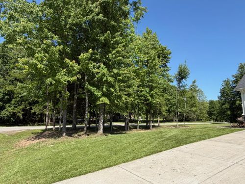  for Anstaetts Tree Service in Batavia, OH