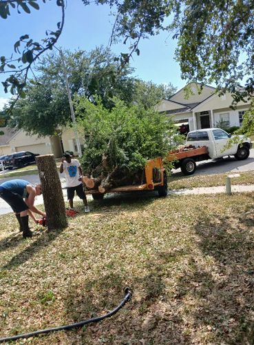 All Photos for A Southern Style Tree Service in Orlando, FL
