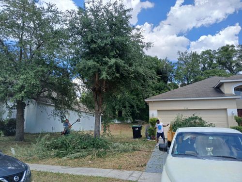 All Photos for A Southern Style Tree Service in Orlando, FL