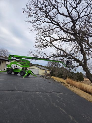 Tree Removal for Olson Tree Service, Inc in Rockford, IL