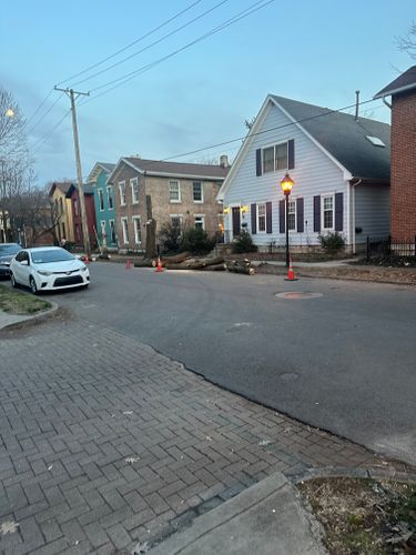 All Photos for Pro Tree Trim & Removal, Llc in Dayton, OH