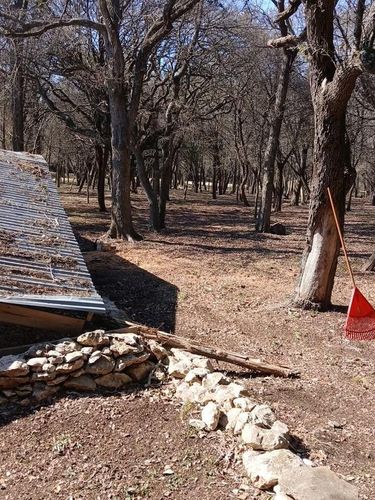Tree Trimming for Superior Lawn and Tree LLC in Clifton, TX