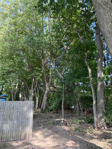 Tree Trimming for Hunnicutt’s Tree Service L.L.C. in Monticello, IN