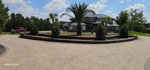 Tree Installation for Martin's Masonry & Landscaping in Leander, TX