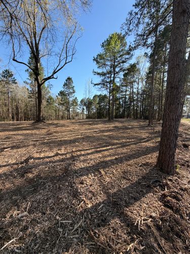  for 903 Mulching in East Mountain, TX