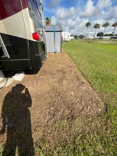 Tree Services for Ludlows Services in Clermont, FL