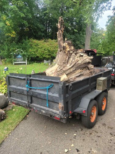 Tree Removal for K and Z Tree Care in Isanti County, MN