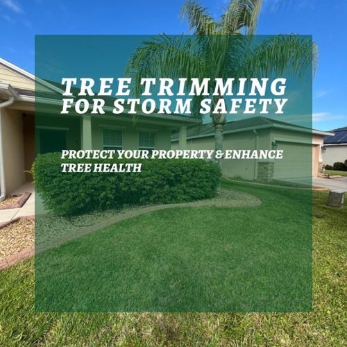 Tree Services for Ludlows Services in Clermont, FL