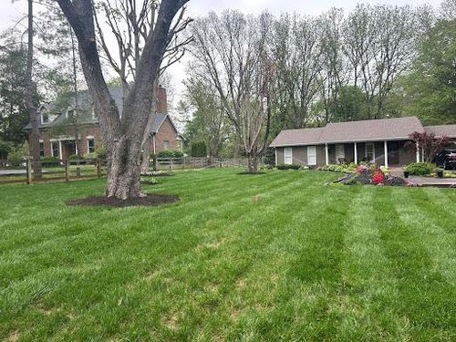 Fall Clean Up for Optimum Tree Service And Landscaping in Bowling Green, KY