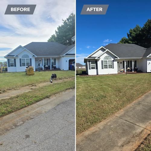 Landscaping for Optimum Tree Service And Landscaping in Bowling Green, KY