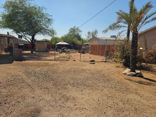 Tree Removal for T's Tree Service and Firewood in Apache Junction, AZ