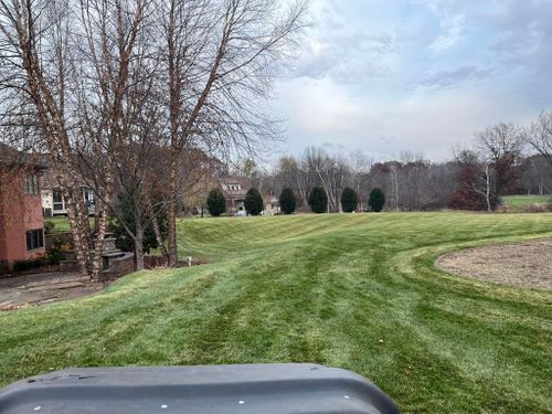 Tree Removal for K and Z Lawn Care in Andover, MN