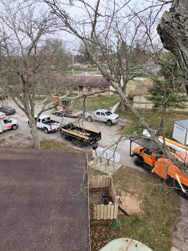 All Photos for Carpenter's Tree Service in Aurora, IN