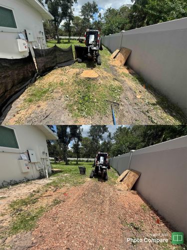 Stump Removal for Adam's Tree and Stump Care in Sarasota, FL
