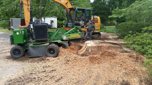 Stump Removal for D&S Tree and Demolition Services in Laurens, SC