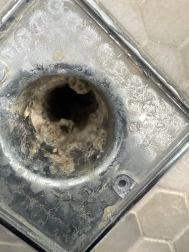  for Mike's Drain Cleaning in Jupiter, FL