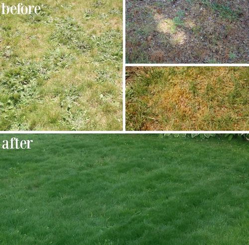 Landscape Design for Magnolia Landscape & Design in Aledo, TX